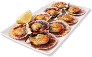 ribeiran menu fotos 0000s 0003 volandeiras a la plancha