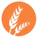 alergenos cereales con gluten