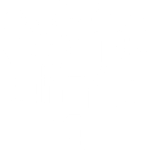 fiesta en el ribeiran (1)