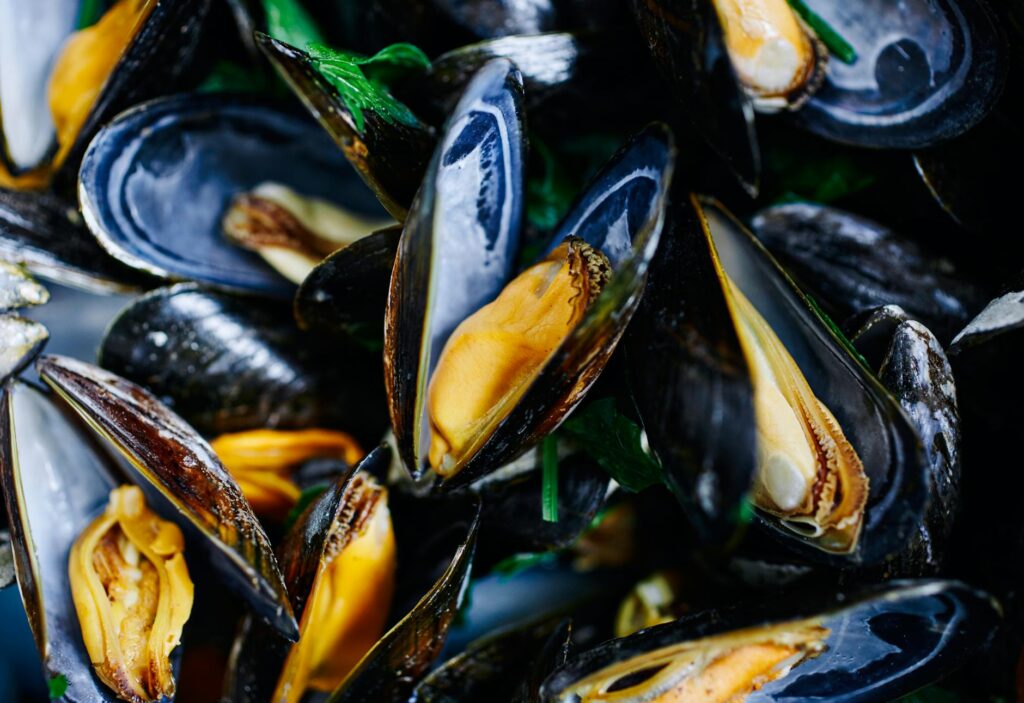 Closeup of open mussels showcasing their fresh, vibrant colors in a gourmet dish.